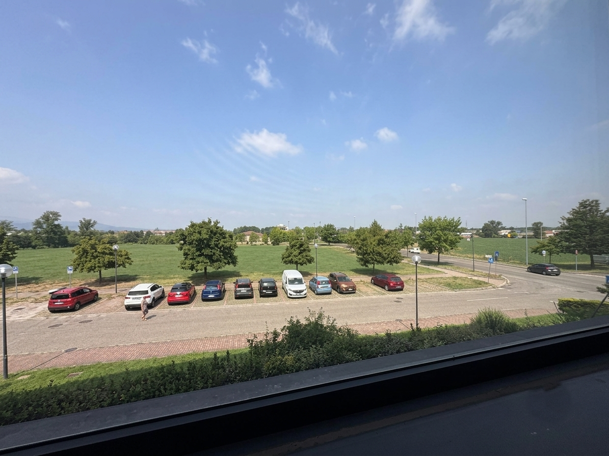 vista